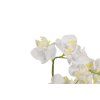 Detail na květy designové orchideje