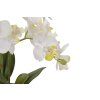 Detail na květy designové orchideje