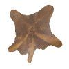 Designový stolek Gold Root 60 cm dekor kořene